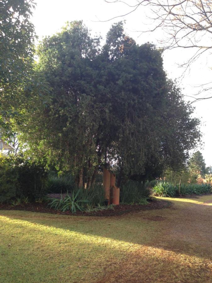 Deo Resta Guest Lodge Piet Retief Luaran gambar