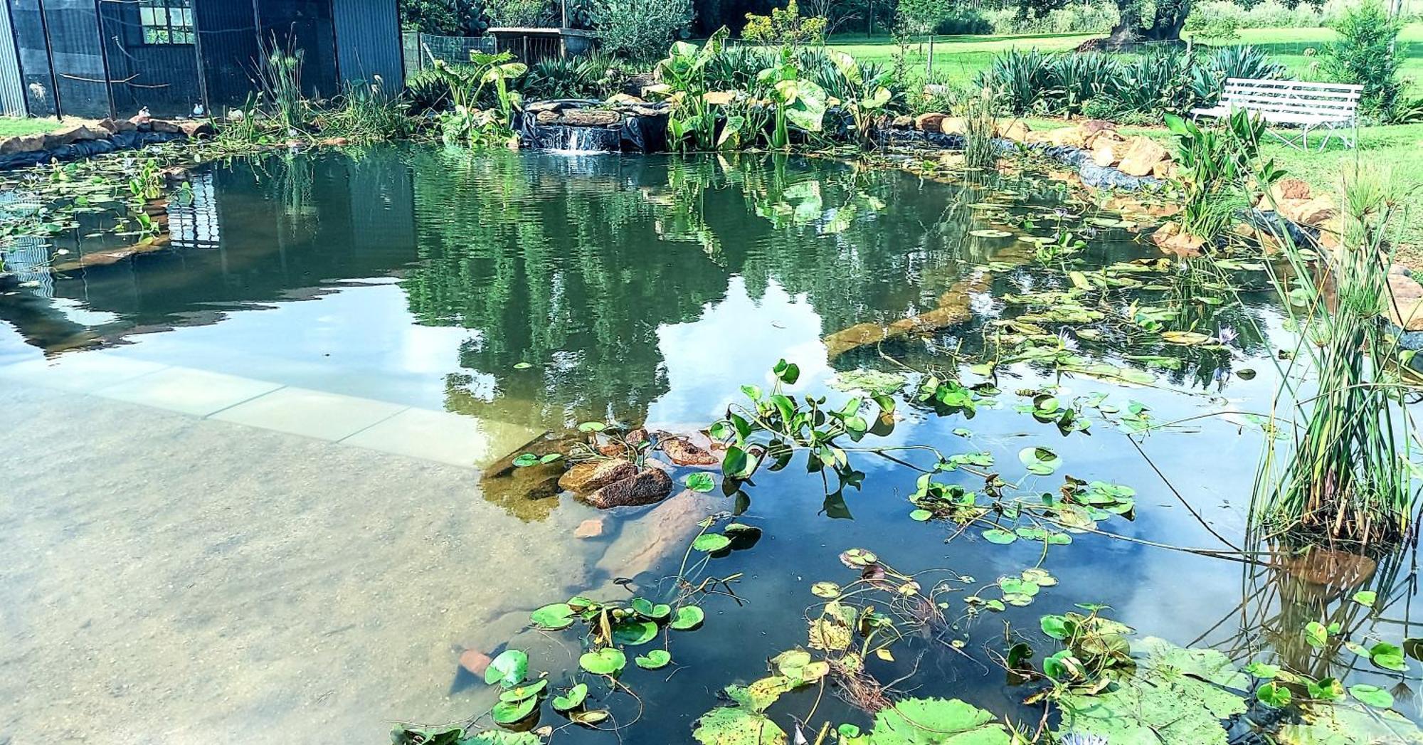 Deo Resta Guest Lodge Piet Retief Luaran gambar